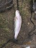 IMG_6389.JPG
