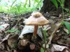 DSCF2532.jpg