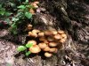 DSCF2538.jpg