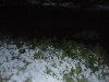 DSCN5067.jpg