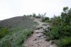 IMG_8436.jpg
