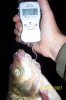 100_0590.JPG