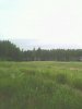 IMG0522A.jpg