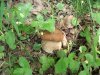 DSCF2565.jpg