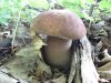 DSCF2567.jpg