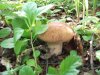 DSCF2568.jpg