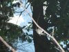 DSCF2572.jpg