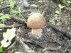 DSCF2576.jpg
