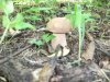 DSCF2577.jpg