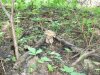 DSCF2579.jpg
