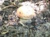 DSCF2582.jpg