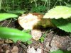 DSCF2584.jpg