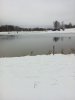 IMG_20151204_113506.jpg