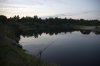 DSC_0068dip1.jpg