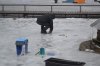 DSC_0004.jpg