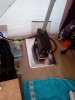 IMG_20160103_130339.jpg