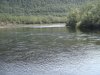 DSC03246.jpg
