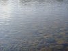 DSC03250.jpg
