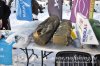 www.rusfishing.ru 1-й тур Чемпионата Русфишинга по зимней ловле ФОРЕЛИ 2016 - 580.jpg