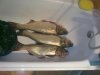 06082011151.jpg