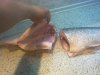 06082011152.jpg