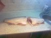 06082011153.jpg