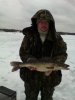 IMG_20160202_110321.jpg