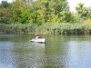 IMG_0807_.jpg