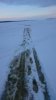 рыбинка 01.16.10.jpg