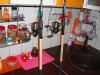 DSC02689.JPG