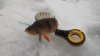 20160210_155306.jpg