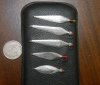 DSCN5357.jpg