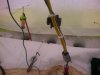 IMG_20160206_100901.jpg