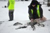 www.rusfishing.ru 2-й тур Чемпионата Русфишинга по зимней ловле ФОРЕЛИ 2016 - 1354.jpg