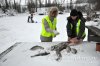 www.rusfishing.ru 2-й тур Чемпионата Русфишинга по зимней ловле ФОРЕЛИ 2016 - 1355.jpg