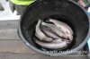 www.rusfishing.ru 2-й тур Чемпионата Русфишинга по зимней ловле ФОРЕЛИ 2016 - 1715.jpg