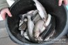 www.rusfishing.ru 2-й тур Чемпионата Русфишинга по зимней ловле ФОРЕЛИ 2016 - 1722.jpg