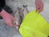 DSCN2636.JPG