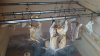 IMG-20160229-WA0005.jpg
