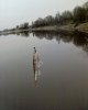 DSC00003.JPG