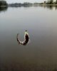 DSC00004.JPG