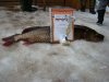 DSC00546.JPG