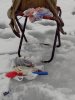 IMG_20160306_160101.jpg