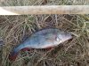 IMG_20160311_105954.jpg