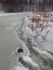 IMG_20151219_102947.jpg