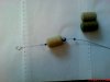 DSC00560.JPG