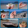 Langkawi03.jpg