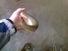 17042011081.jpg