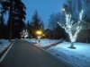 DSCN0902.jpg