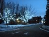 DSCN0909.jpg